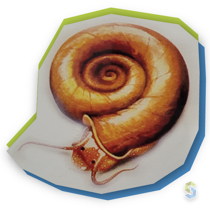 Siscoplagas - Tipos de plagas - Caracol acuático